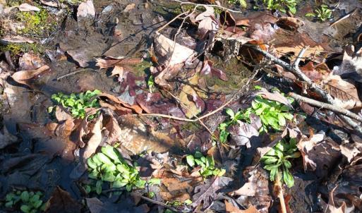 Photo #75 of 3901 Midland Rd, Wingina, VA 6.4 acres