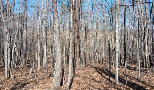 Photo #12 of 3901 Midland Rd, Wingina, VA 6.4 acres