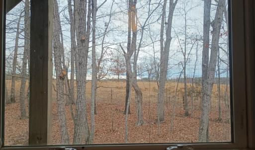 Photo #43 of 3901 Midland Rd, Wingina, VA 6.4 acres