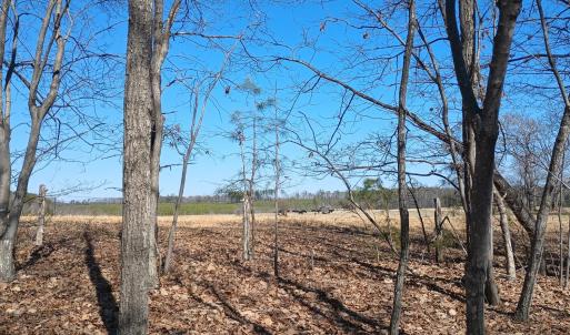 Photo #69 of 3901 Midland Rd, Wingina, VA 6.4 acres
