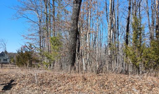 Photo #9 of 3901 Midland Rd, Wingina, VA 6.4 acres