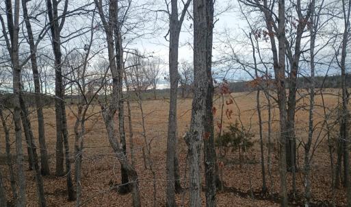 Photo #54 of 3901 Midland Rd, Wingina, VA 6.4 acres