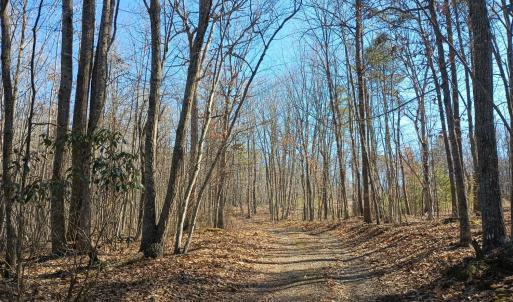 Photo #81 of 3901 Midland Rd, Wingina, VA 6.4 acres