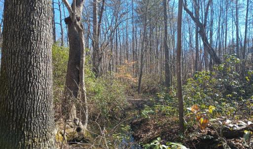 Photo #76 of 3901 Midland Rd, Wingina, VA 6.4 acres