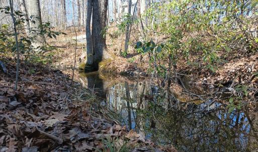 Photo #80 of 3901 Midland Rd, Wingina, VA 6.4 acres