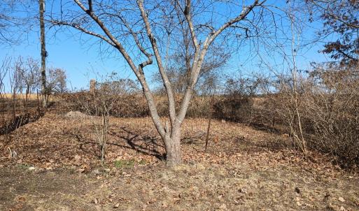 Photo #66 of 3901 Midland Rd, Wingina, VA 6.4 acres