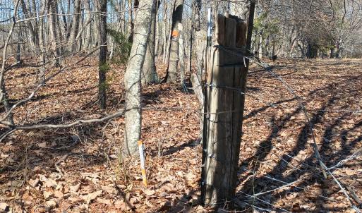 Photo #71 of 3901 Midland Rd, Wingina, VA 6.4 acres