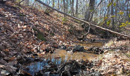 Photo #15 of 3901 Midland Rd, Wingina, VA 6.4 acres