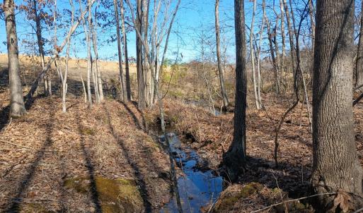 Photo #79 of 3901 Midland Rd, Wingina, VA 6.4 acres