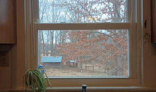 Photo #29 of 3901 Midland Rd, Wingina, VA 6.4 acres