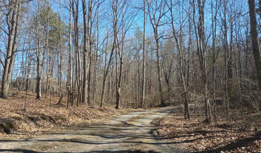 Photo #14 of 3901 Midland Rd, Wingina, VA 6.4 acres