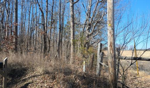 Photo #7 of 3901 Midland Rd, Wingina, VA 6.4 acres