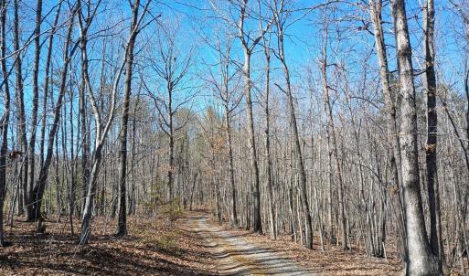 Photo #13 of 3901 Midland Rd, Wingina, VA 6.4 acres