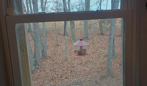 Photo #42 of 3901 Midland Rd, Wingina, VA 6.4 acres