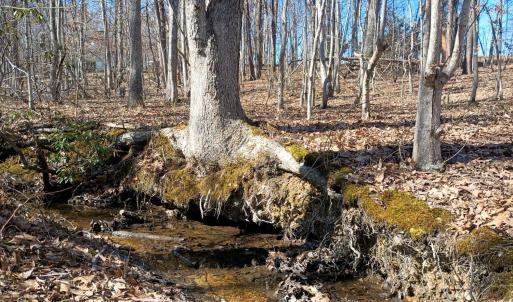 Photo #74 of 3901 Midland Rd, Wingina, VA 6.4 acres