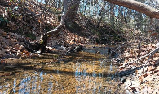 Photo #77 of 3901 Midland Rd, Wingina, VA 6.4 acres