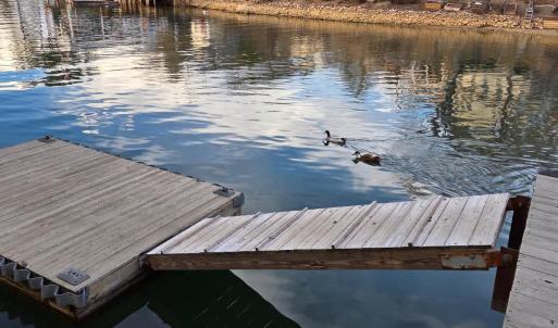 Photo #6 of 1085 Azalea Drive, Moneta, VA 0.4 acres