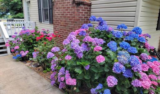 Photo #55 of 3105 Horseshoe Road, Appomattox, VA 1.1 acres