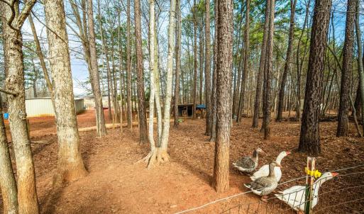 Photo #44 of 3105 Horseshoe Road, Appomattox, VA 1.1 acres