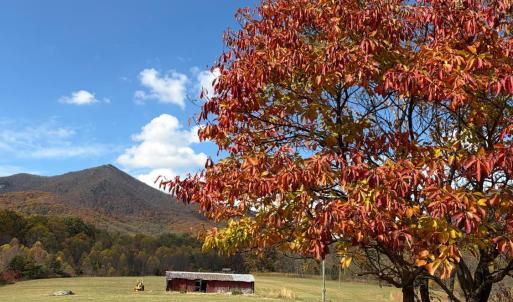 Photo #11 of 7392 Peaks Road, Bedford, VA 21.4 acres