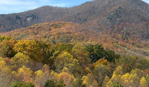 Photo #18 of 7392 Peaks Road, Bedford, VA 21.4 acres