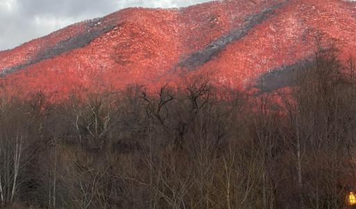 Photo #13 of 7392 Peaks Road, Bedford, VA 21.4 acres