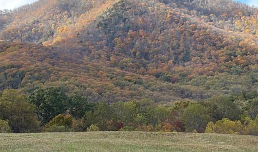 Photo #16 of 7392 Peaks Road, Bedford, VA 21.4 acres