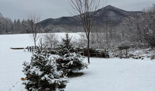 Photo #35 of 7392 Peaks Road, Bedford, VA 21.4 acres