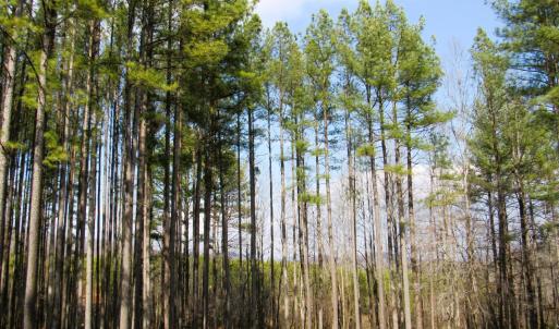 Photo #32 of 3324 Laurel Road, Shipman, VA 2.0 acres