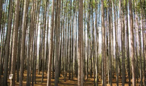 Photo #35 of 3324 Laurel Road, Shipman, VA 2.0 acres