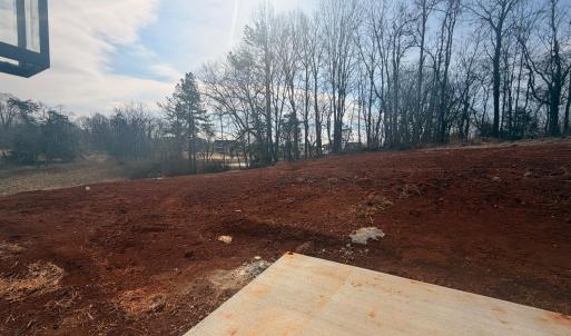 backyard, still under construction