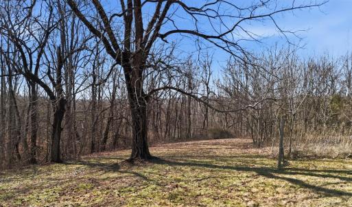 Photo #37 of 409 Staunton River Landing, Gretna, VA 3.6 acres