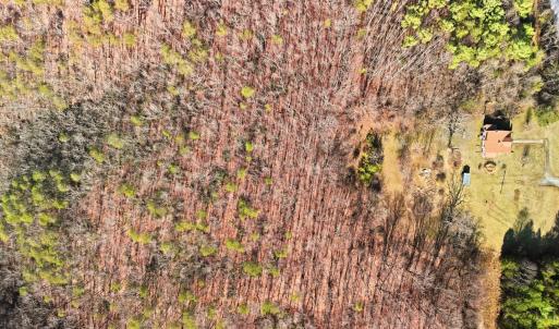 Photo #52 of 409 Staunton River Landing, Gretna, VA 3.6 acres