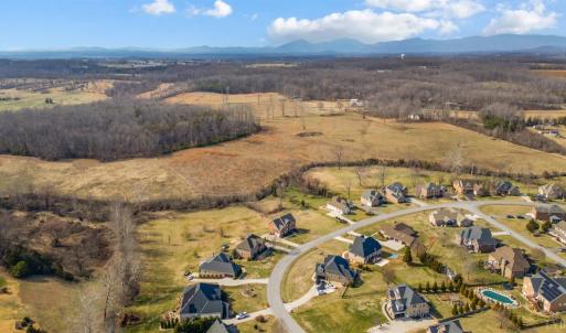 Photo #88 of 2175 Colby Drive, Forest, VA 1.1 acres