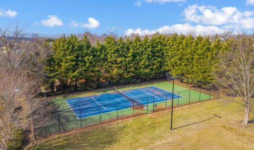 Photo #92 of 2175 Colby Drive, Forest, VA 1.1 acres