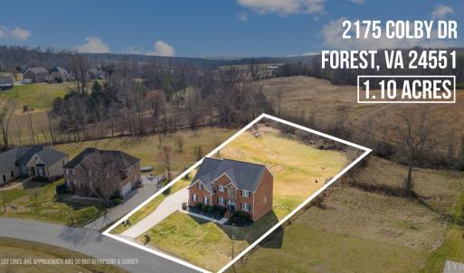 Photo #80 of 2175 Colby Drive, Forest, VA 1.1 acres
