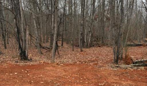 Photo #5 of 5461 Bear Creek Road, Rustburg, VA 1.8 acres