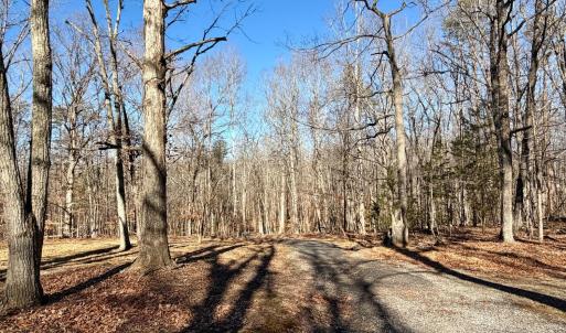 Photo #68 of 218 Maple Drive, Madison Heights, VA 8.0 acres