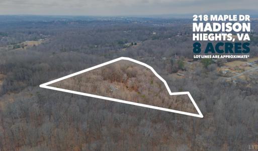 Photo #5 of 218 Maple Drive, Madison Heights, VA 8.0 acres