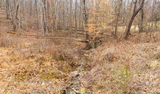 Photo #52 of 218 Maple Drive, Madison Heights, VA 8.0 acres