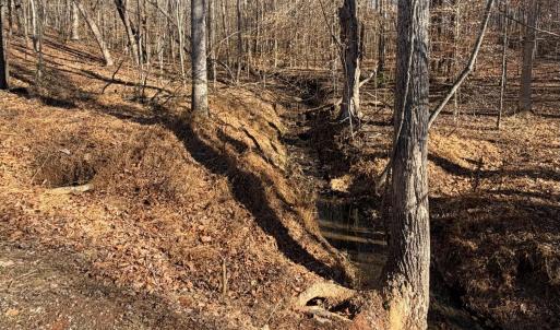 Photo #66 of 218 Maple Drive, Madison Heights, VA 8.0 acres