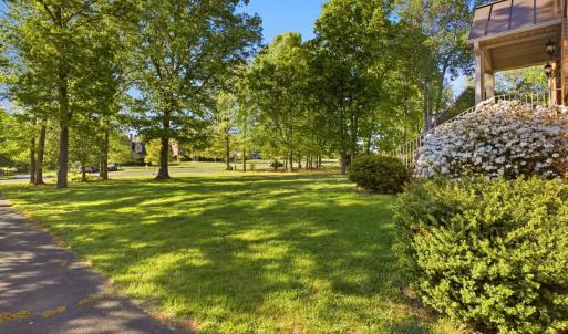 Photo #65 of 215 London Downs Drive, Forest, VA 0.6 acres