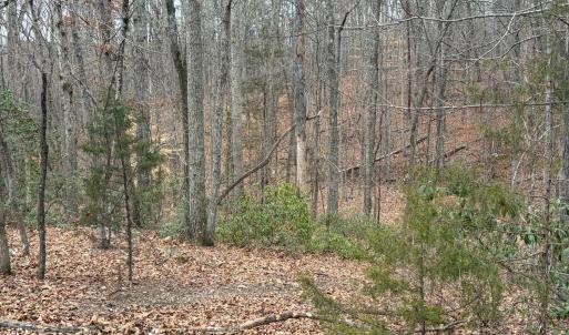 Photo #7 of 819 One Mile Road, Evington, VA 3.9 acres