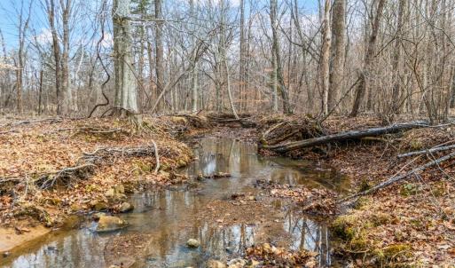 Photo #44 of 2080 Keys Church Road, Shipman, VA 26.2 acres