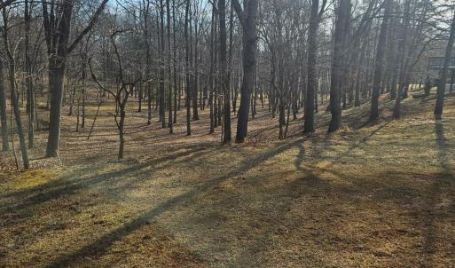 Beautiful view of the woods, which were all under brushed by the current owner & include well worn trails