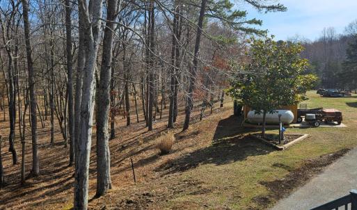 Beautiful view of the woods, which were all under brushed by the current owner.