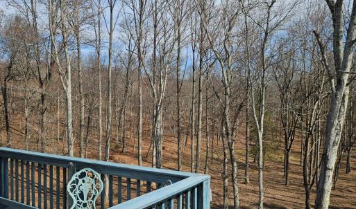 Beautiful view of the woods, which were all under brushed by the current owner.
