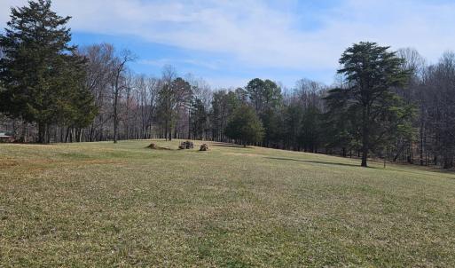 Yard with beautiful trees that would be perfect for horses.