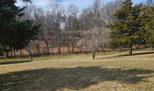 Beautiful gently sloped yard that horses would love!