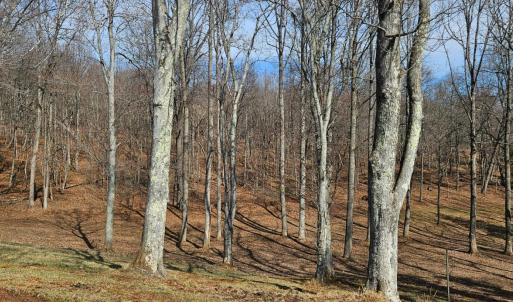 Photo #81 of 103 Glenn Haven Terrace, Goode, VA 10.9 acres